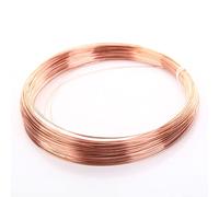 YTGZS Filo di Rame Diametro da 0.25mm a 1.5mm,Peso 250g,Diameter 0.5mm