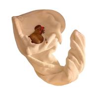 YTtkku 1 PZ Asciugamani Dei Capelli Microfibra Asciugamano Per Capelli Turbante Asciugamano Con Pulsante Turbante Bambini Asciugamani Super Assorbenti Per