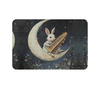 YTUOPWE Zerbino 40,6 x 61 cm, motivo: coniglietto che suona il pianoforte, assorbe l'acqua, antiscivolo, per porte d'ingresso, ingressi e bagni