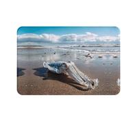 YTUOPWE Zerbino 40,6 x 61 cm Pesce inchiostro sulla stalla del mare Immagine assorbente antiscivolo per porte d'ingresso, ingressi e bagni