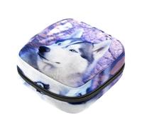 YTYVAGT Borsa mestruale,Sacchetto di immagazzinaggio del tovagliolo sanitario,Porta tamponi per borsa, I36z2ju9pkx, 4.7x6.6x6.6 in, classico