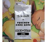 YU NAGABA Eevee's Special Box Pokemon PROMO CARD Collection File DISPLAY FRAME
