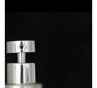 Yuanpgky Dispenser per lozione in acciaio inox 304 con finitura a specchio con tubo da 14 cm per bocca della bottiglia da 25 mm (G)