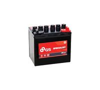 Yuasa 895 Garden batteria