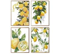 YUCCAORCHID 4 Pezzi Dipingere con i Numeri per Adulti Fai-da-Te Dipinto su Tela Dipinto con i Numeri Kit con Pennelli e Pigmento Acrilico,Senza Cornice 20X30CM-Limone