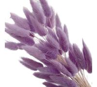 YUCHUANGYE Pampas Decorative Natura Coniglio Coda Erba Fiore Secco Bouquet da Sposa for Natale Foto Props Decorazione Pampas Grass(Light Purple,120pcs)