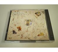 Yuda Poliker - The Boy in You