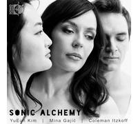 YuEun Kim; Mina Gajic; Colemant Itzkoff - Sonic Alchemy