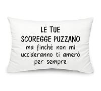 Yufansd Divertente Regalo per San Valentino -Le Tue Scoregge Puzzano- 1 Pezzo Federa per Cuscino Letto 50X75 CM Idea Regalo Coppia Natale Compleanno Cuscino Decorativo (Le tue scoregge puzzano)