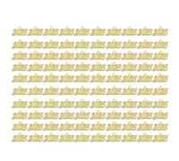 YUGSHNKFC Accessori per ciondoli placcati in oro e argento e versatile modello 2025 ornamento per gli appassionati placcato oro ciondolo, Misura unica, come descritto, come descritto