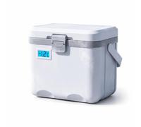 Yunhgft Frigo portatile e refrigeratore per latte, contenitore termico con display per viaggi e conservazione, Style 1