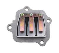 Yunhgft Inlet Valve per PW80 Include Piastra Assemblaggio Valvola d'Aspirazione Sostitutivo Componente Robusto E Affidabile Adatto per