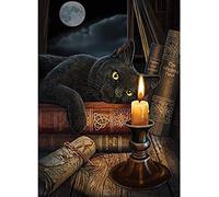 YUNLINZI Dipingi con i Kit numerici Fai da Te Pittura a Olio Opere per Adulti Bambini Tela per Principianti ， Gatto Nero Animale ， 40X50Cm, Yb52797