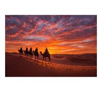 Yunlus Puzzle per adulti, 1000 pezzi, impossibile, difficile, stimolante, per adulti, adolescenti, cammelli del deserto, paesaggio, tramonto, 1000 pezzi, 28 x 20 pollici