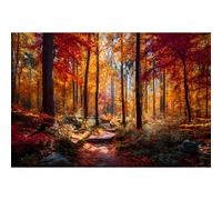 Yunlus Puzzle per adulti 1000 pezzi puzzle impossibile difficile difficile impegnativo puzzle per adolescenti autunno foglie d'acero paesaggio forestale puzzle 1000 pezzi 71,1 x 50,8 cm