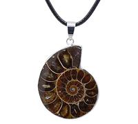 Yunmiao Ciondolo fossili di Lumaca - Conch Fossili Ammonite Lumaca Ciondolo Collana,Regalo di Conchiglie di Campioni minerali per Donne Uomini