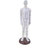YUNNIAN Modello di agopunto umano professionale Modello Acupoint maschio Modello Acupoint Femmina con Acupoints Punti Acupoint Insegnamento
