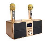 Yunseity KTV Family Karaoke di Alta qualità con Microfono Wireless, /dorato (GOLD)