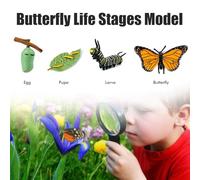 Yunseity Set di Giocattoli per il Ciclo di Vita degli Insetti per Bambini Figure Dettagliate Vassoio in Legno Strumenti Didattici Educativi per Bambini in età Prescolare Domestici