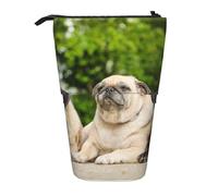 YUNWEIKEJI Carlino Amicizia Bokeh Cani Animali Amici Carlino, Astuccio telescopico, Portapenne con cerniera Astuccio per trucco Astuccio per matite Astuccio per penne
