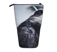 YUNWEIKEJI Centro commerciale Bulldog francese Cani neri Animali domestici, Astuccio telescopico, Portapenne con cerniera Astuccio per trucco Astuccio per matite Astuccio per penne