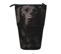 YUNWEIKEJI Curioso Labrador nero adottato, Astuccio telescopico, Portapenne con cerniera Astuccio per trucco Astuccio per matite Astuccio per penne