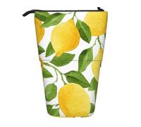 YUNWEIKEJI Limoni dell'acquerello giallo brillante, Astuccio telescopico, Portapenne con cerniera Astuccio per trucco Astuccio per matite Astuccio per penne