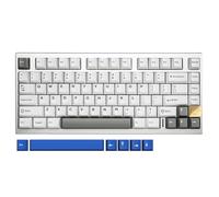 YUNZII AL75 75% Tastiera Gaming Wireless,Tastiera Meccanica Alluminio,BT/2.4G/Wired,Hot Swap Tastiera Meccanica Pre-lubrificata,TKL Montata Tastiera RGB per Mac/Win (Argento, Blue Grey Switch)