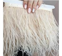 YUOYU 1 Metro di Piume di Struzzo Beige con Frange 8-10 cm Decorazione Naturale Piume di Nastro per Accessori di Abbigliamento per Abiti da Festa di Nozze