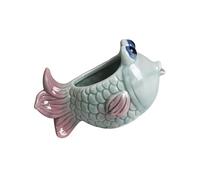 YUPEIUKLI Vaso per Piante carnose in Ceramica, Vaso per Pesci, Ornamento per Piante, Cactus, contenitori, Decorazioni per balconi e Case