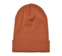 Yupoong - Berretto Invernale Pesante Lungo - Uomo (RW3290)