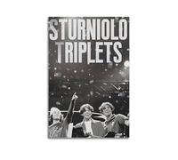 YUQLAGA ASHILD - Poster su tela, motivo: Sturniolo, con musica pop, per casa, camera da letto, bar, decorazione artistica da parete per soggiorno, camera da letto, sala giochi, ufficio, 20 x 30 cm