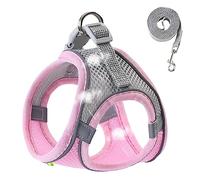 Yusheng Pettorina per Cani di Piccola Taglia, Gilet Riflettente per Cani, Pettorina Traspirante per Cuccioli ad Alta visibilità, Gilet di Sicurezza per Cani di Taglia Piccola e Media