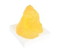 YUSSEQDD Modello di grasso corporeo umano, strumento didattico dimostrativo, risorsa didattica, prodotto per l'educazione sanitaria, fatto di gel, modello corso scienze anatomiche per nutrizionisti