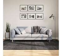 YUTAASU Soft Long Pile Plush Anthracite Carpet 160x230 cm for Living Room & Bedroom, 100% Polypropylene OEKO-TEX Certified Indoor Floor Mat with 30mm High Pile