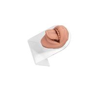 yuwqqoajv Modello didattico 3D della bocca in silicone per lingua, accompagnato da un espositore per esercizi di piercing, in particolare vetrine per piercing,