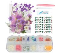 YUXUAN 170PCS DIY Natural Dried Flowers Face Rhinestones Set con Foglie secche Miste per l'artigianato, la creazione di Carte, la punzonatura del Viso, Gli Adesivi per Il Viso, Il Vestito del Viso.