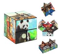 YUZHEDM Cubo magico, infinito cubo magico, cubo magico 2 in 1, cubo magico 2 x 2 giochi IQ, giocattolo educativo creativo, cubo di rilassamento, idea regalo per ragazzi