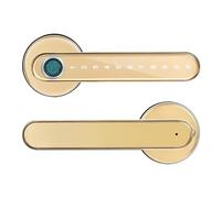 YVAAASIYC Blocco biometrico delle impronte digitali Bluetooth Chiave colore oro APP Serratura digitale intelligente con maniglia elettronica(Gold)