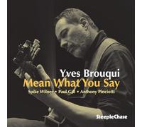 Yves Brouqui - Mean What You Say