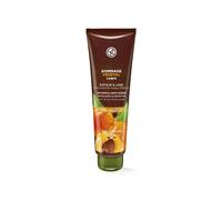 Yves Rocher Scrub Corpo Rinfrescante Pietra di Albicocca Polvere Gommage 150 ...