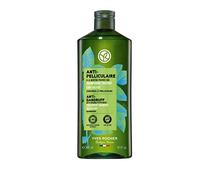 Yves Rocher Shampoo Anticaspa Trattante - Capelli con forfora - Shampoo senza solfati e siliconi con erba bio - Pelle capelluto purificata e priva di forfora - Made in France - 300ml