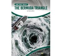 Yvette Lapierre The Bermuda Triangle (Copertina rigida) Are They Real?