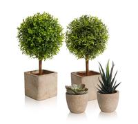 YVONNEYI 4 Pezzi Piante Artificiali, Mini Piante Artificiali Succulente, Piante Artificiali In Plastica Per Camera Da Letto Bagno Cucina Decorazione Interna Casa