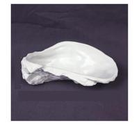 Yvxotrxnk Squisita ciotola in ceramica Blue Oyster, realizzata a mano, per snack gastronomici e dipping, perfetta come regalo per hostess & Unique Serving Plate for Entertaining (White)