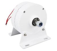 YWBL-WH Alternatore a Magneti Permanenti, Generatore Eolico CA Trifase 48 V in Lega di Alluminio 300 W, 2 Assi Seghettati con Base, Iniezione di Grasso, per Uso con Turbine Eoliche Verticali o (300W)