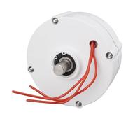 YWBL-WH Generatore a Magnete Permanente, Trifase, 220V/50Hz, per Generatori Eolici (100W)
