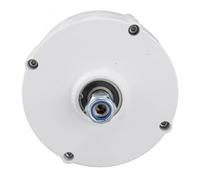 YWBL-WH Generatore a Magnete Permanente, Trifase, 220V/50Hz, per Generatori Eolici (200W)