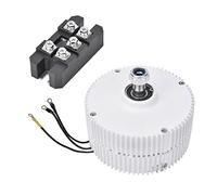 YWBL-WH Generatore a Magneti Permanenti da 300 W, Alternatore Eolico Ad Alta Efficienza per Applicazioni Industriali 12 V/24 V con Resistenza a Temperature Estreme (Motore 12V + raddrizzatore)