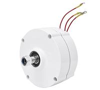 YWBL-WH Generatore di Energia Eolica NE-200, Generatore a Magneti Permanenti Alternatore Sincrono da 200 W 12 V per Soluzioni di Energia Rinnovabile (il motore)